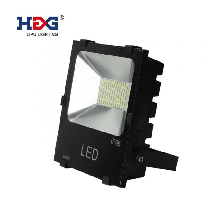 LFL013-100W